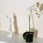 2 Retreat With Pool & Free Wi-fi Daire *